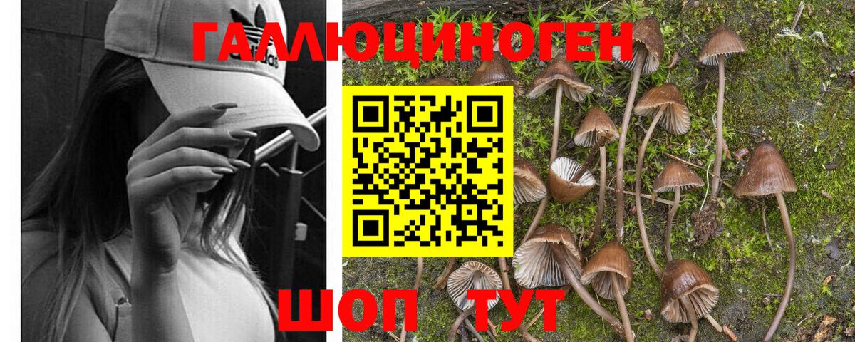 Галлюциногенные грибы MAGIC MUSHROOMS Вязники