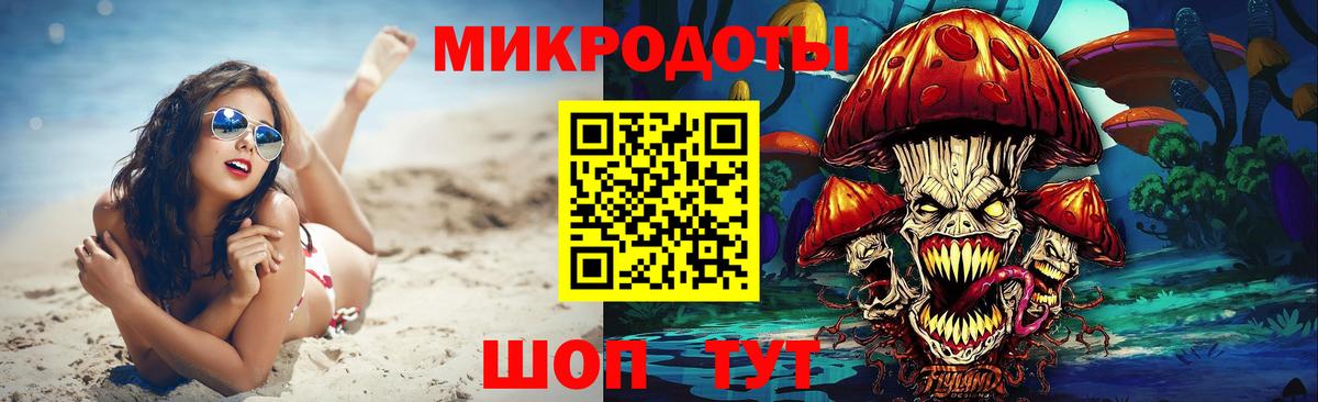Галлюциногенные грибы Psilocybe  Вход с VPN  где найти наркотики  Галлюциногенные грибы мицелий  Вязники 